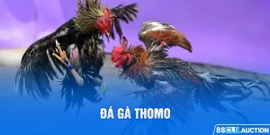 1-da-ga-thomo