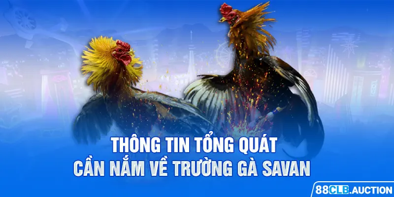 Thông tin tổng quát cần nắm về trường gà Savan 