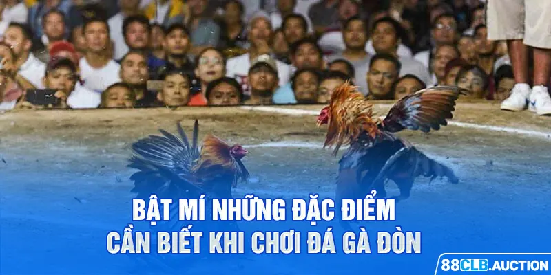 Bật mí những đặc điểm cần biết khi chơi đá gà đòn