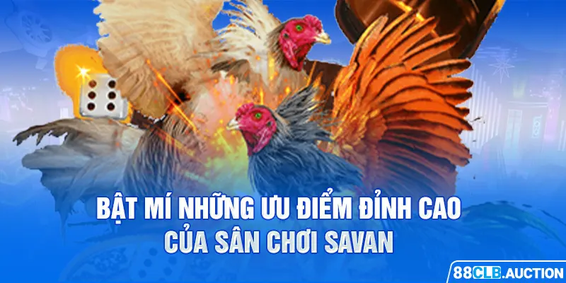 Bật mí những ưu điểm đỉnh cao của sân chơi Savan