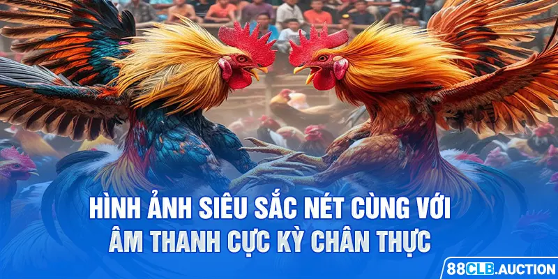 Hình ảnh siêu sắc nét cùng với âm thanh cực kỳ chân thực