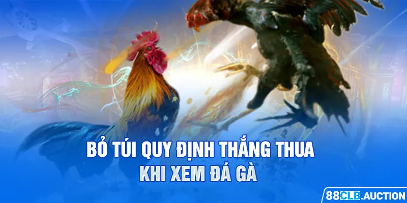 Bỏ túi quy định thắng thua khi xem đá gà 