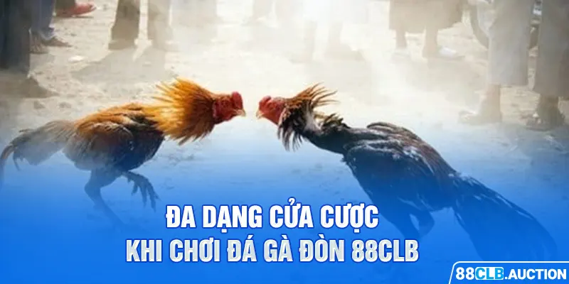 Đa dạng cửa cược khi chơi đá gà đòn 88CLB