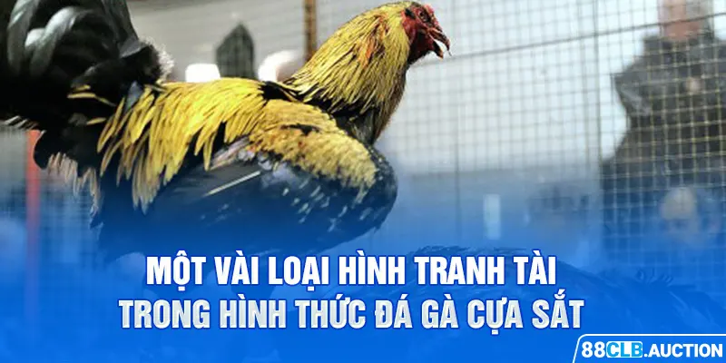 Một vài loại hình tranh tài trong hình thức đá gà cựa sắt