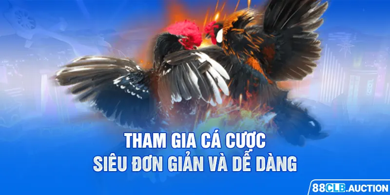 Tham gia cá cược siêu đơn giản và dễ dàng