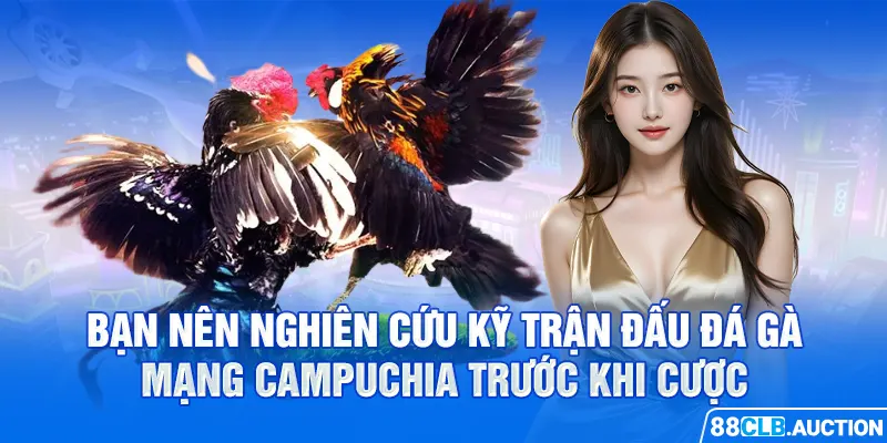 Bạn nên nghiên cứu kỹ trận đấu đá gà mạng Campuchia trước khi cược