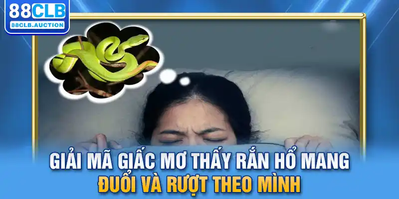 Giải mã giấc mơ thấy rắn hổ mang đuổi và rượt theo mình