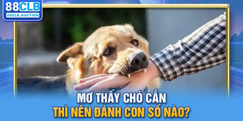 Mơ thấy chó cắn thì nên đánh con số nào?