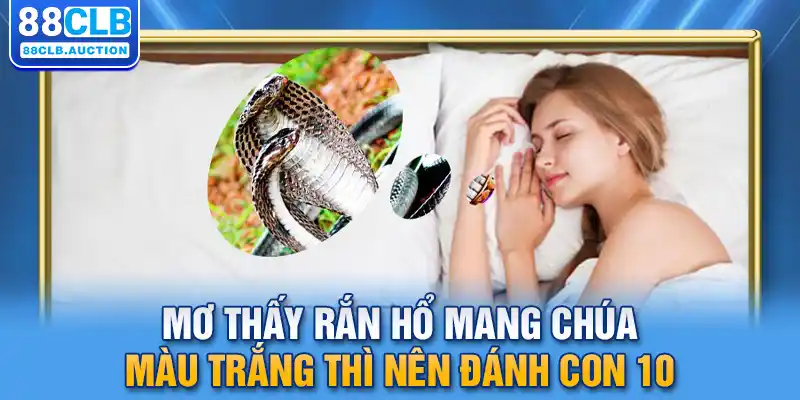 Mơ thấy rắn hổ mang chúa màu trắng thì nên đánh con 10