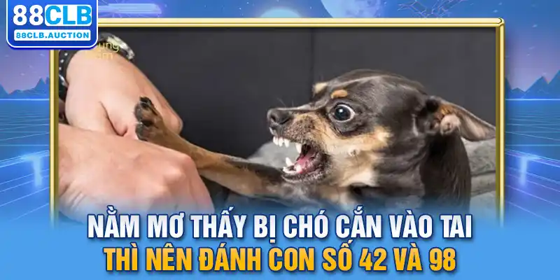 Nằm mơ thấy bị chó cắn vào tai thì nên đánh con số 42 và 98