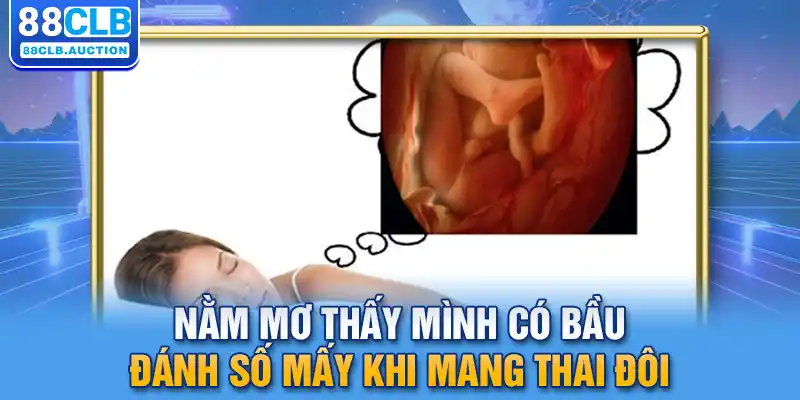 Nằm mơ thấy mình có bầu đánh số mấy khi mang thai đôi