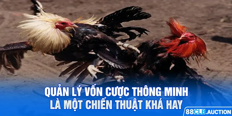 Quản lý vốn cược thông minh là một chiến thuật khá hay