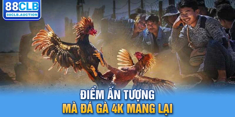 Điểm ấn tượng mà đá gà 4K mang lại